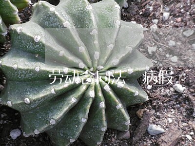 劳动合同法 病假